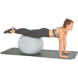 SCHILDKROT Minge exercitii fitness 65 cm