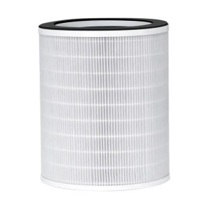 AENO Filtru Carbon activ AAP0001S, compatibil cu AP1S