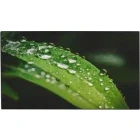 Monitor LED DAHUA LS550UCM-UF 55 inch FHD ADS 8 ms 60 Hz