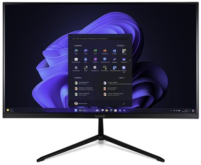 All-In-One PC TERRA 2401, 23.8 inch FHD, Procesor Intel® Core™ i3-1315U 4.5GHz Raptor Lake, 8GB RAM, 500GB SSD, UHD Graphics, Windows 11 Home