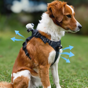 Insta360 Suport tip ham animale de companie, marimea S