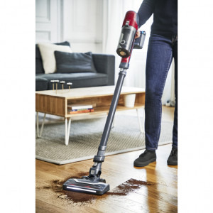 Rowenta X-Pert 6.60 Animal Care RH6878WO, 0.55L, 100W, rosu-gri, vertical