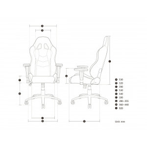 AKRACING Nitro Carbon/Red