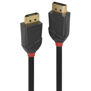 LINDY DisplayPort Male - DisplayPort Male, v2.0, 1m, negru