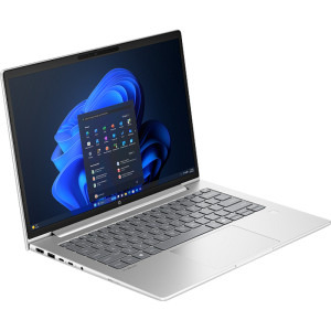 HP 14'' ProBook 4 G1a 14, WUXGA, Procesor AMD Ryzen™ 7 250 (16M Cache, up to 5.10 GHz), 24GB DDR5, 1TB SSD, AMD Radeon 780M, Win 11 Pro, Silver
